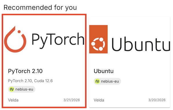 PyTorch template